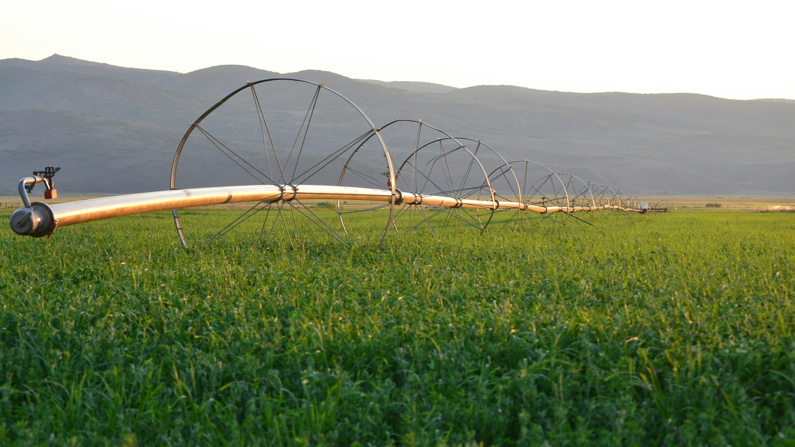 Agriculture water consumption and irrigation needs